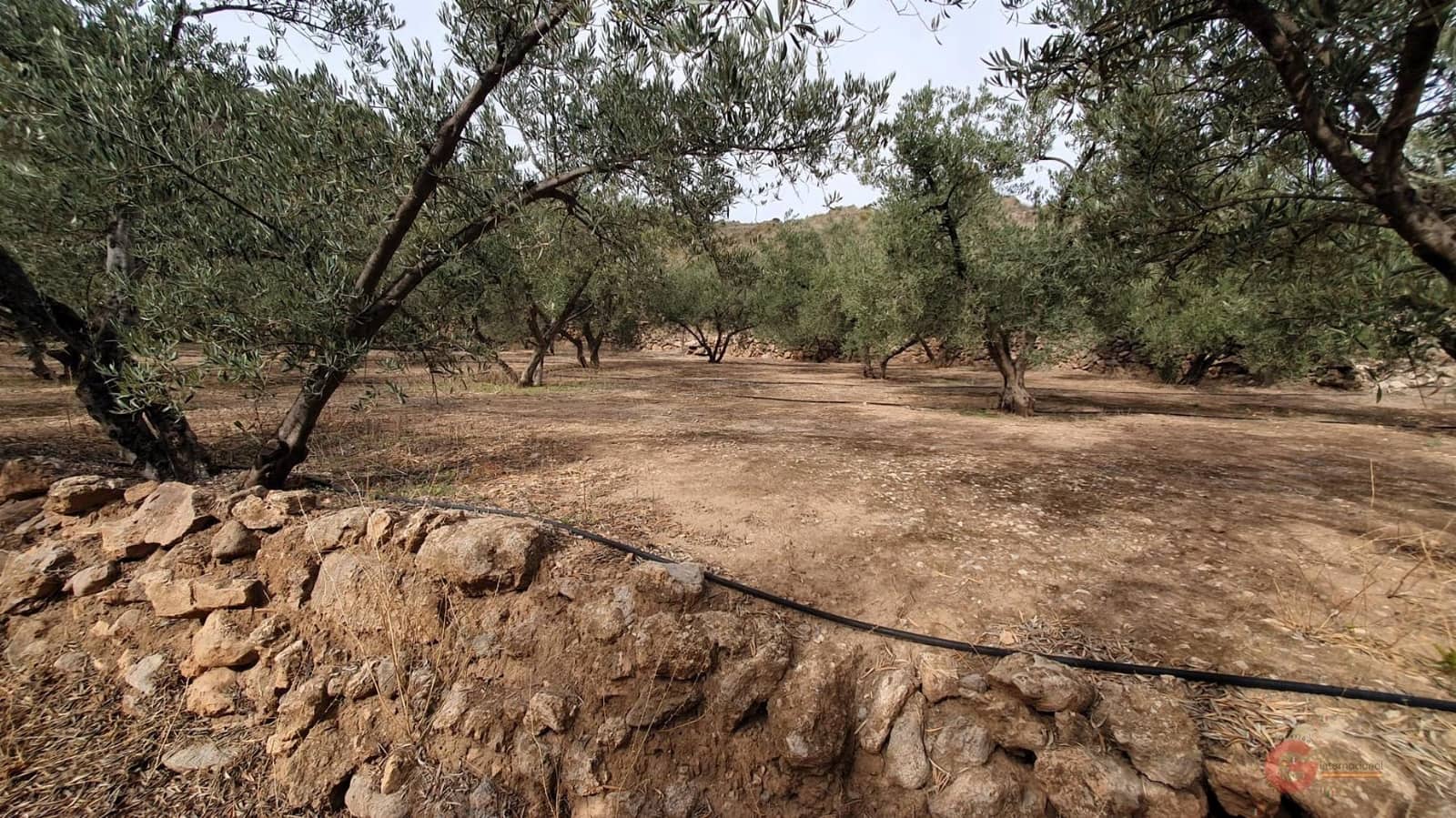 Byggegrund til salg i Pinar - € 63.000 (Ref: 7893514)