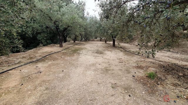 Bouwgrond te koop in Píñar - € 63.000 (Ref: 7893514)