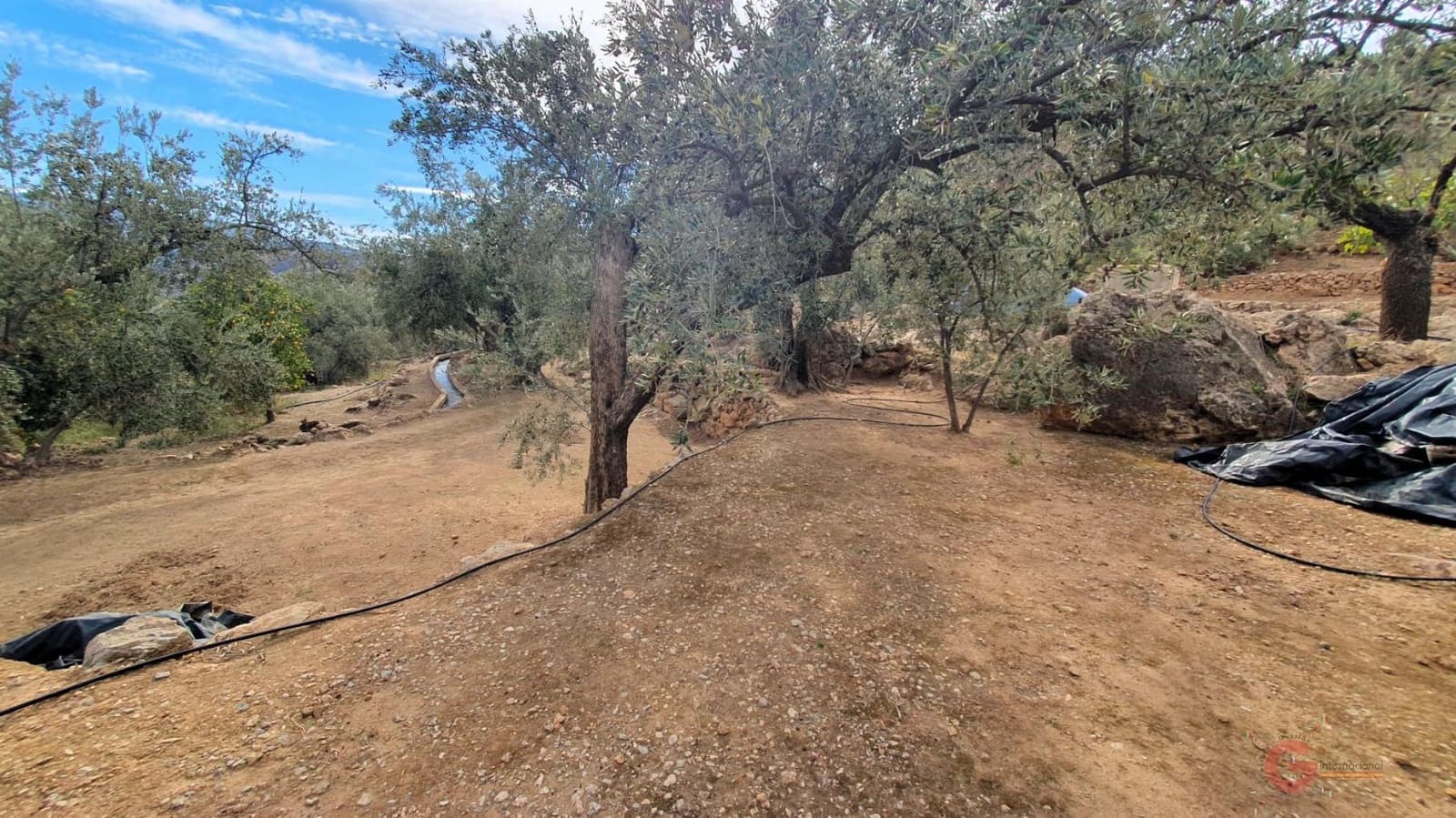 Byggegrund til salg i Pinar - € 63.000 (Ref: 7893514)