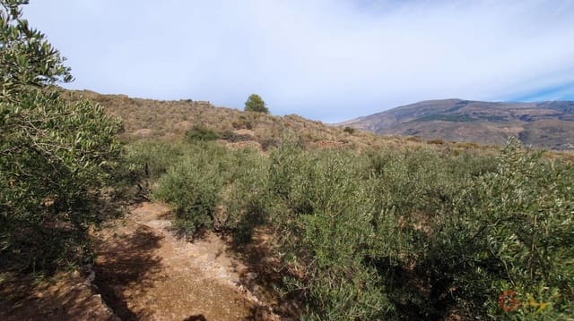 Bouwgrond te koop in Píñar - € 63.000 (Ref: 7893514)