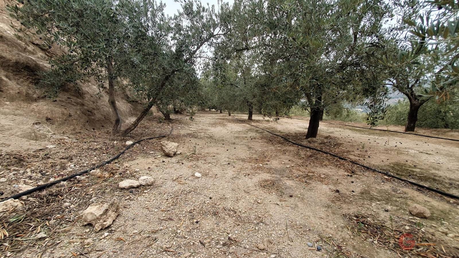 Byggegrund til salg i Pinar - € 63.000 (Ref: 7893515)