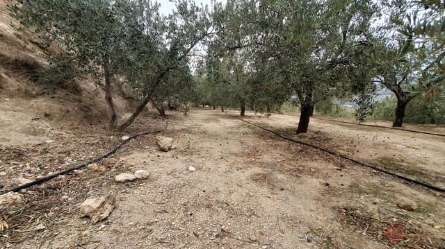 Bouwgrond te koop in Píñar - € 63.000 (Ref: 7893515)