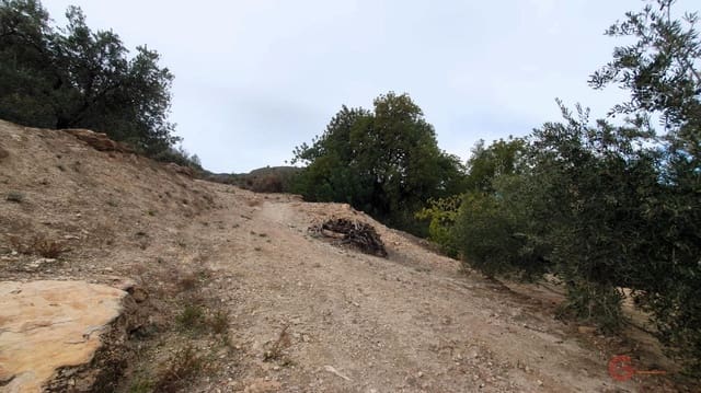 Bouwgrond te koop in Píñar - € 63.000 (Ref: 7893515)