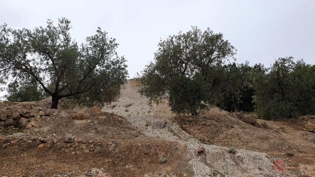 Bouwgrond te koop in Píñar - € 63.000 (Ref: 7893515)