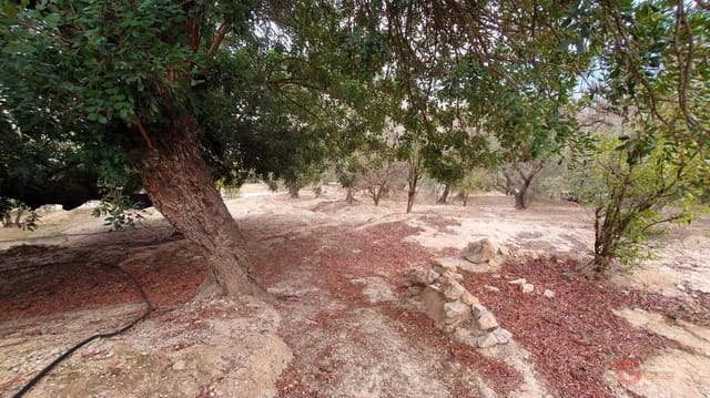 Bouwgrond te koop in Píñar - € 63.000 (Ref: 7893515)