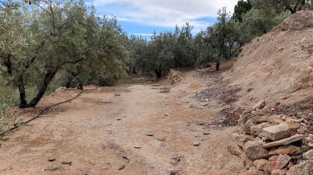 Bouwgrond te koop in Píñar - € 63.000 (Ref: 7893515)