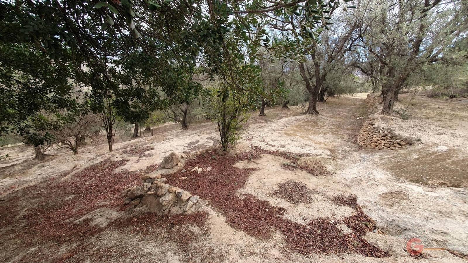 Byggegrund til salg i Pinar - € 63.000 (Ref: 7893515)