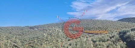 4 soveværelse Finca/Landehus til salg i Castril - € 5.303.000 (Ref: 8164975)