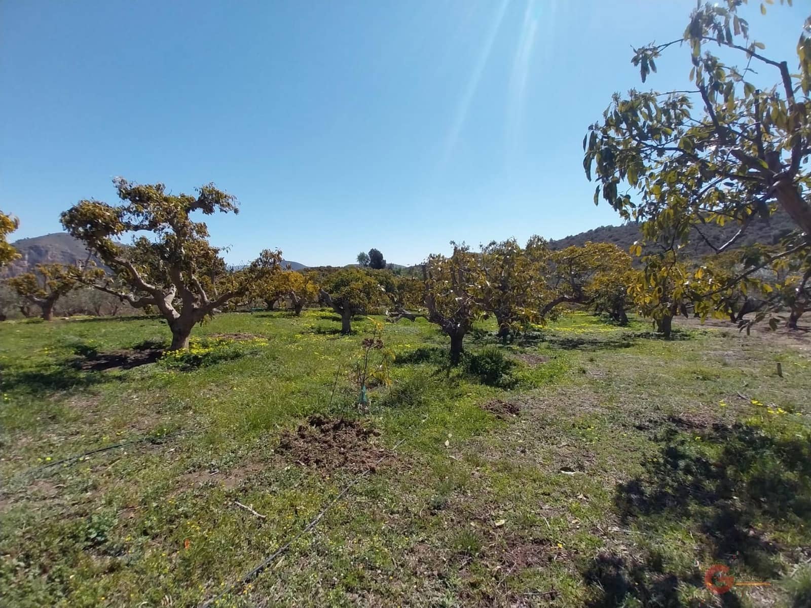 1 camera da letto Finca/Casa di Campagna in vendita in Salobrena - 270.000 € (Rif: 8181275)