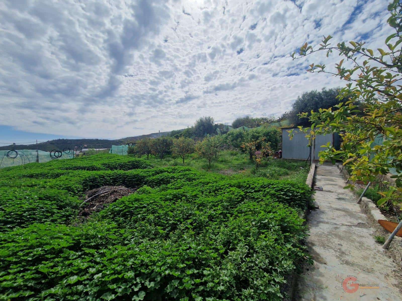 2 bedroom Finca/Country House for sale in Salobrena - € 185,000 (Ref: 8202319)