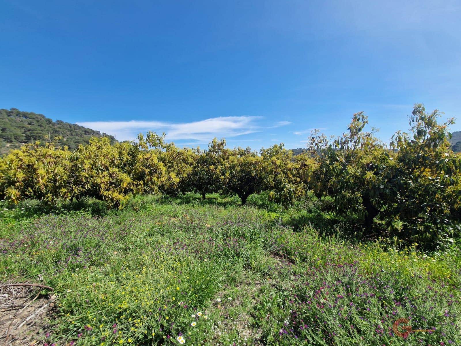 2 bedroom Finca/Country House for sale in Salobrena - € 230,000 (Ref: 8212432)