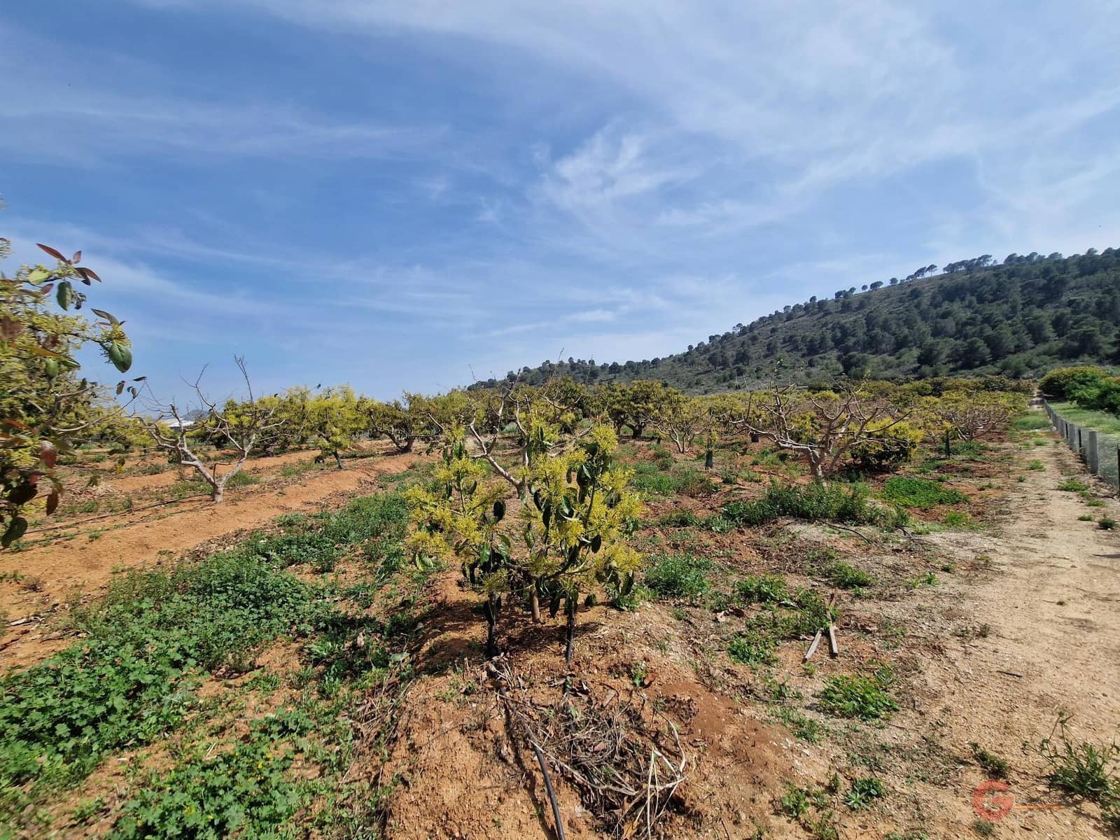 Quinta/Casa Rural para venda em Salobrena - 140 000 € (Ref: 8246815)