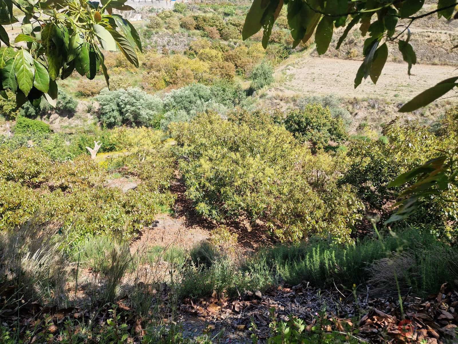 Finca/Herregård til salgs i Molvizar - € 97 000 (Ref: 8317344)