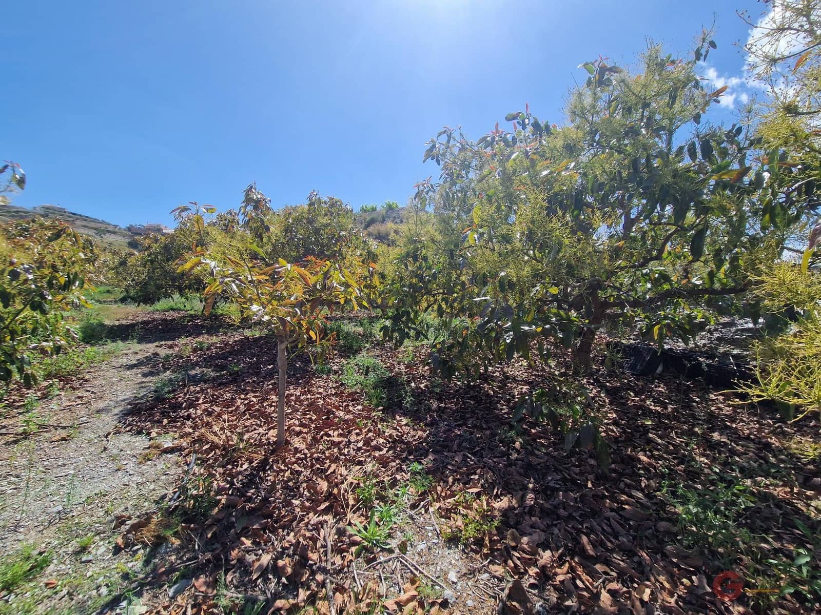 Finca/Herregård til salgs i Molvizar - € 97 000 (Ref: 8317344)