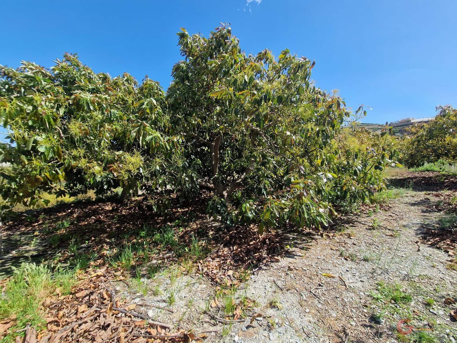 Finca/Herregård til salgs i Molvizar - € 97 000 (Ref: 8317344)