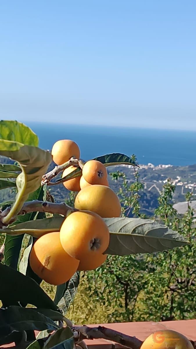 2 sypialnia Willa na sprzedaż w Otivar z basenem - 152 000 € (Ref: 8358354)