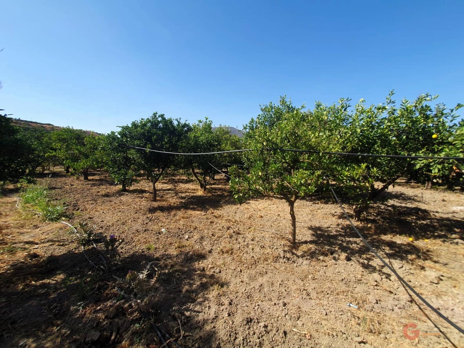 5 soverom Finca/Herregård til salgs i Lecrin med garasje - € 690 000 (Ref: 8456431)