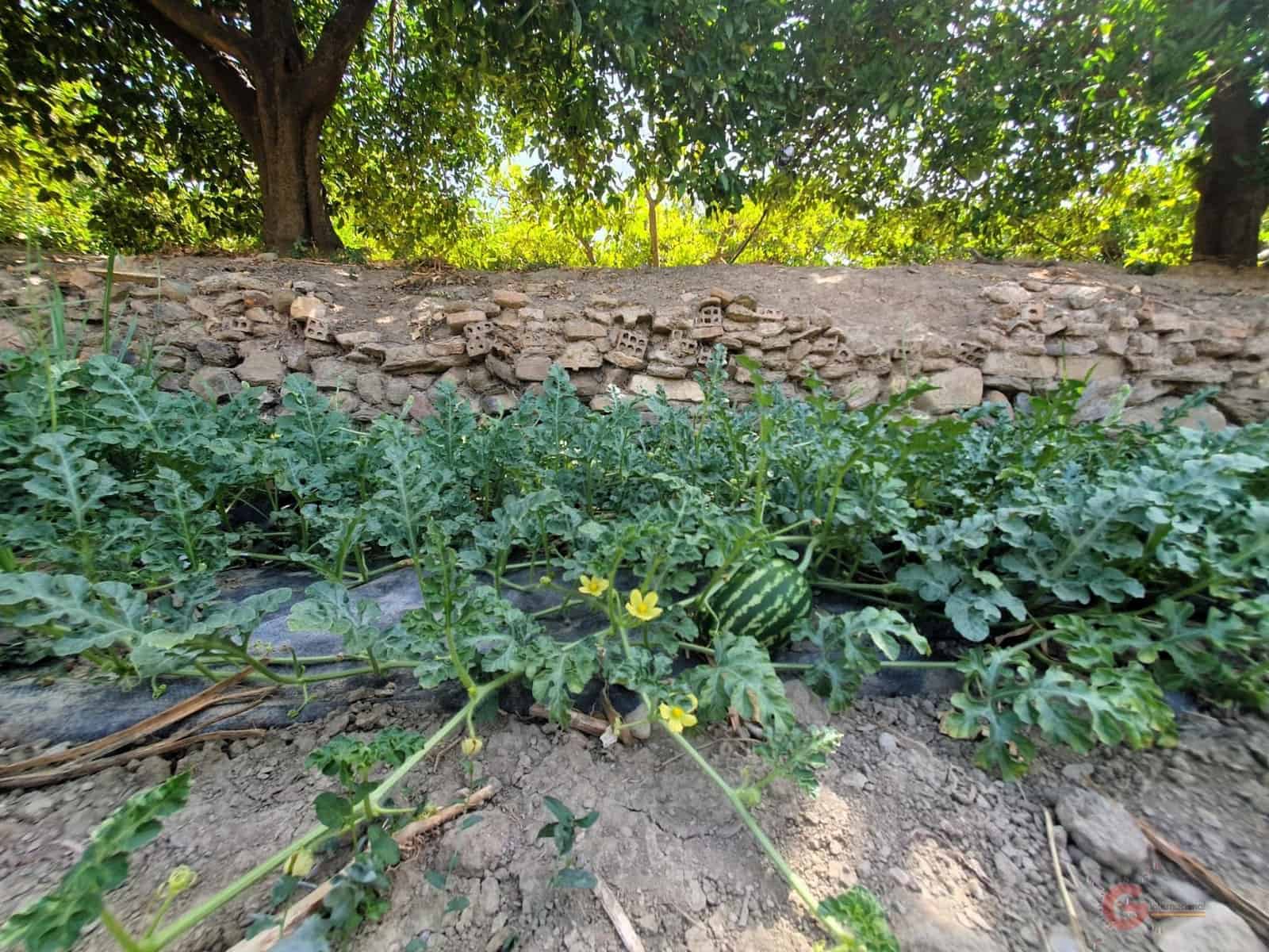 5 soverom Finca/Herregård til salgs i Lecrin med garasje - € 690 000 (Ref: 8456431)