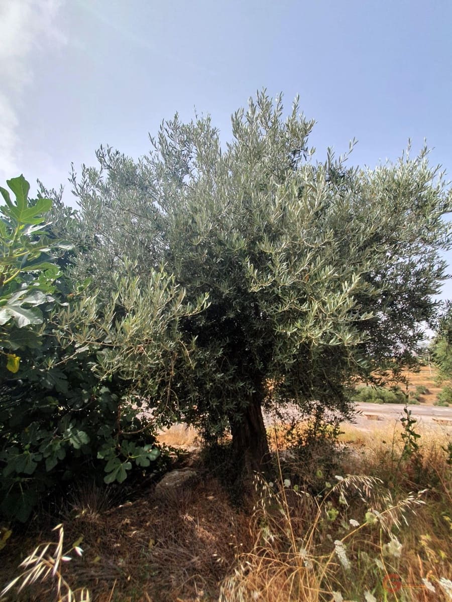 2 soveværelse Finca/Landehus til salg i Lanjaron - € 235.000 (Ref: 8456440)