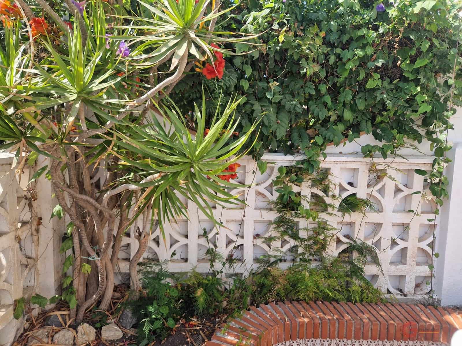 4 bedroom Villa for sale in Salobrena with pool - € 383,500 (Ref: 8505284)