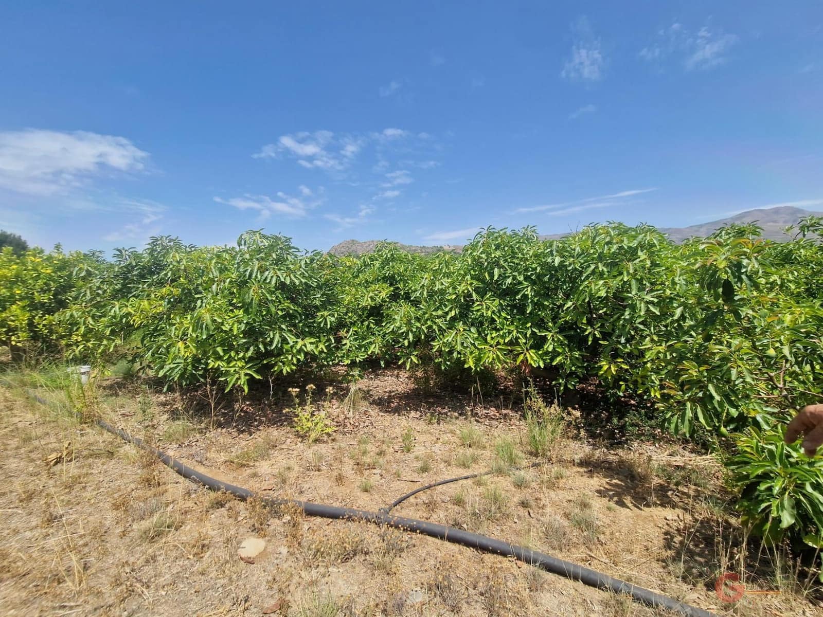 1 soveværelse Finca/Landehus til salg i Molvizar - € 159.000 (Ref: 8505290)