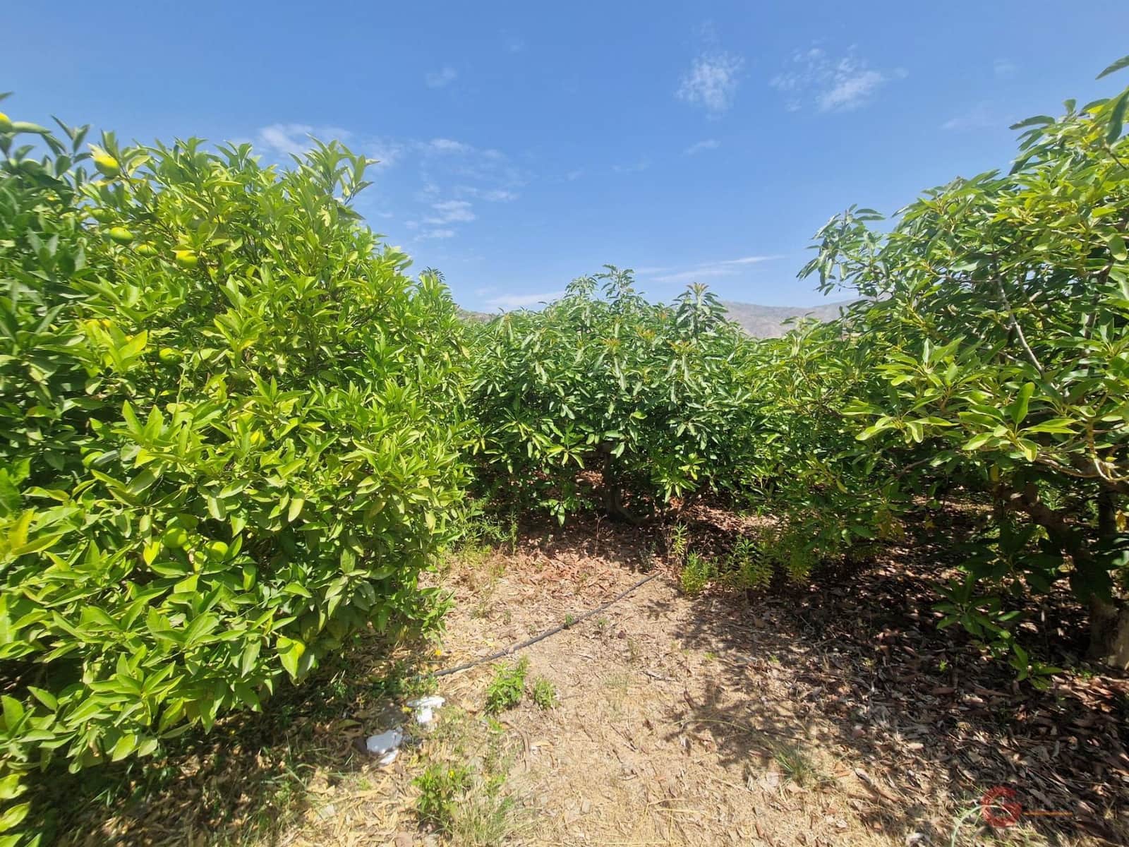 1 soveværelse Finca/Landehus til salg i Molvizar - € 159.000 (Ref: 8505290)