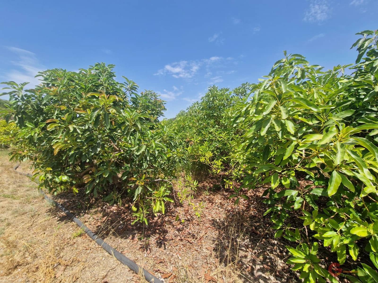 1 soveværelse Finca/Landehus til salg i Molvizar - € 159.000 (Ref: 8505290)