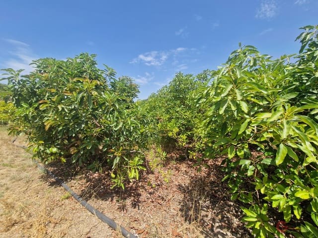 1 soveværelse Finca/Landehus til salg i Molvízar - € 159.000 (Ref: 8505290)