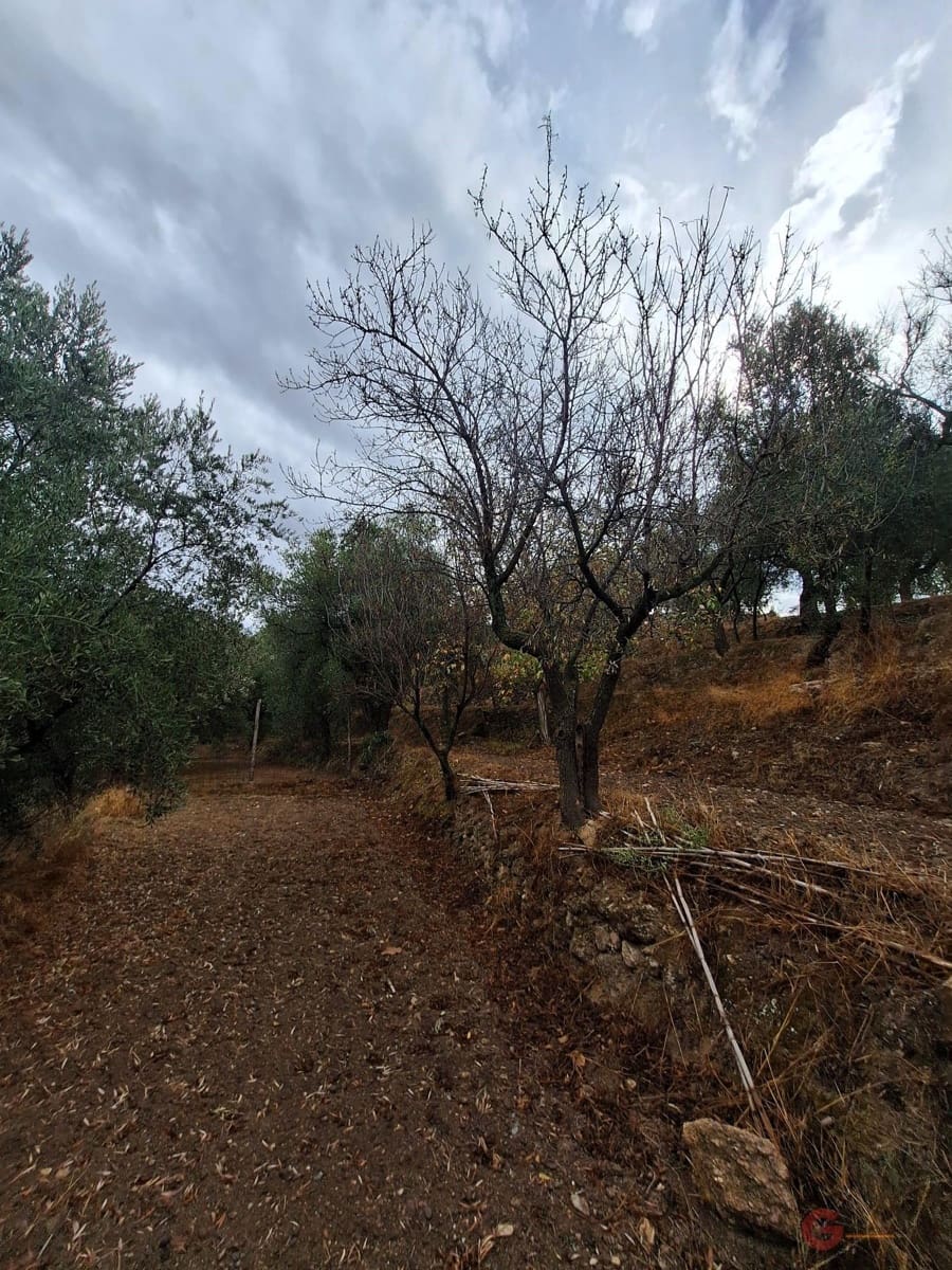 Finca/Landehus til salg i Lanjaron - € 90.000 (Ref: 8594415)