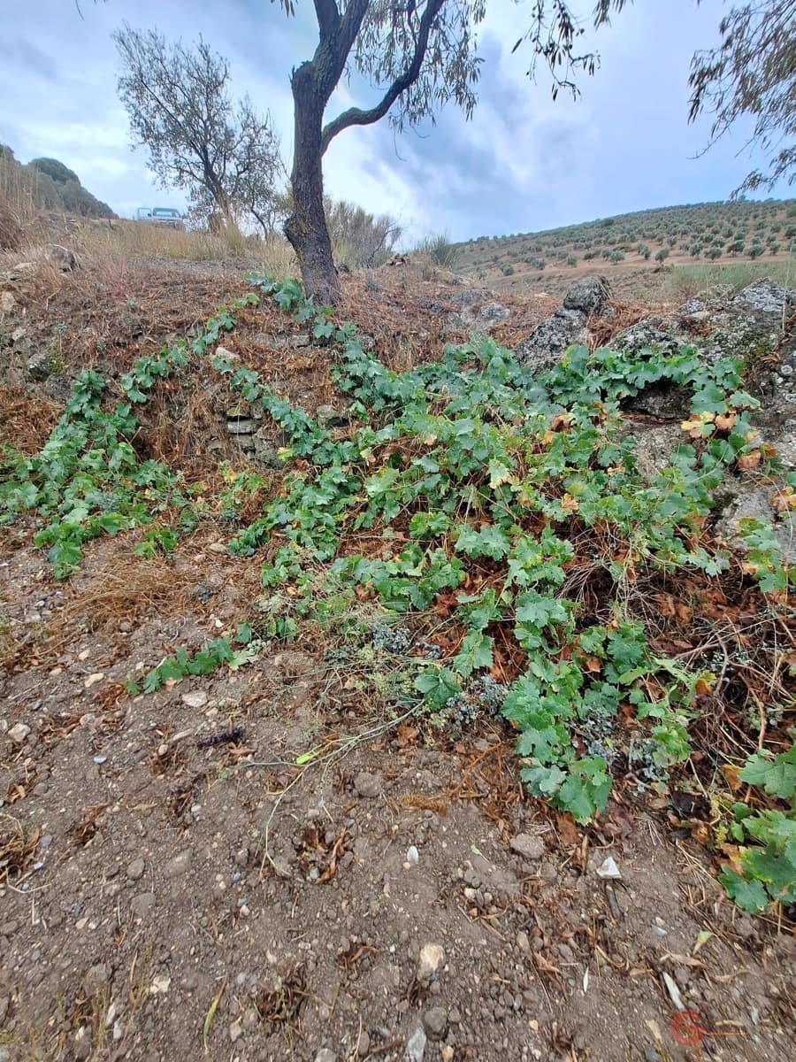 Finca/Landehus til salg i Lanjaron - € 90.000 (Ref: 8594415)