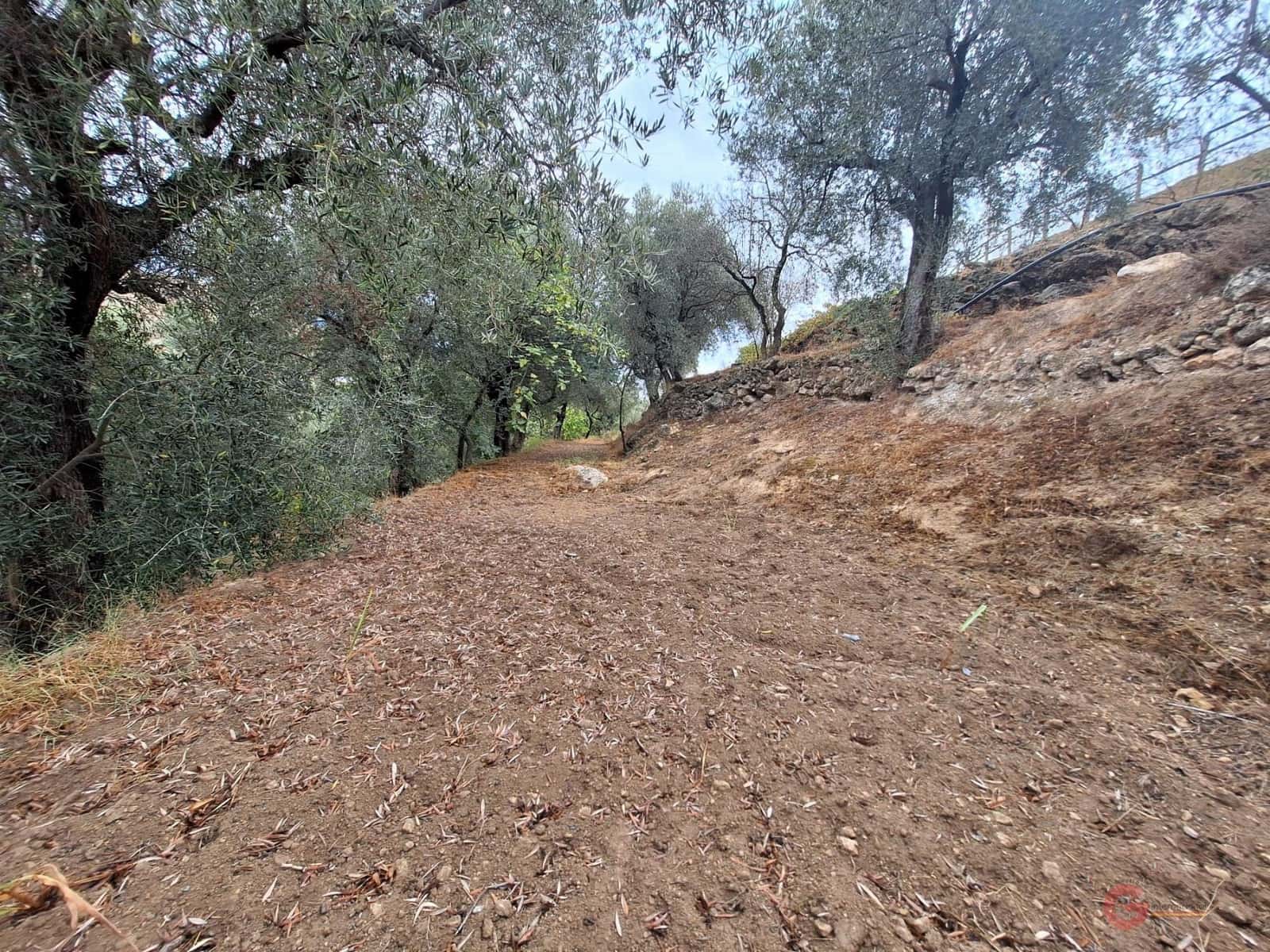 Finca/Landehus til salg i Lanjaron - € 90.000 (Ref: 8594415)