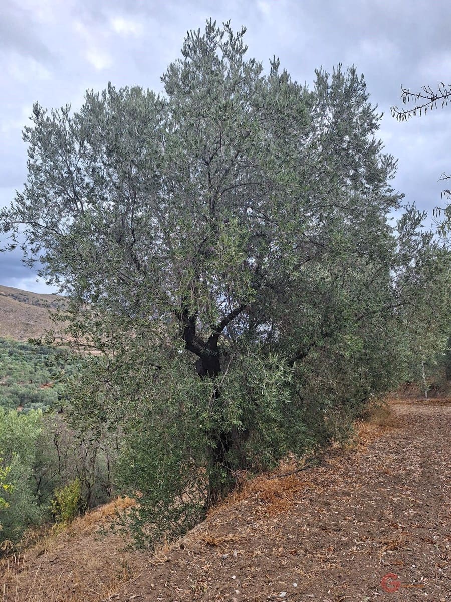 Finca/Landehus til salg i Lanjaron - € 90.000 (Ref: 8594415)