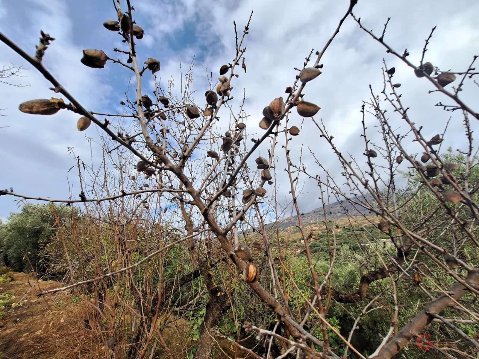 Finca/Landehus til salg i Lanjaron - € 90.000 (Ref: 8594415)