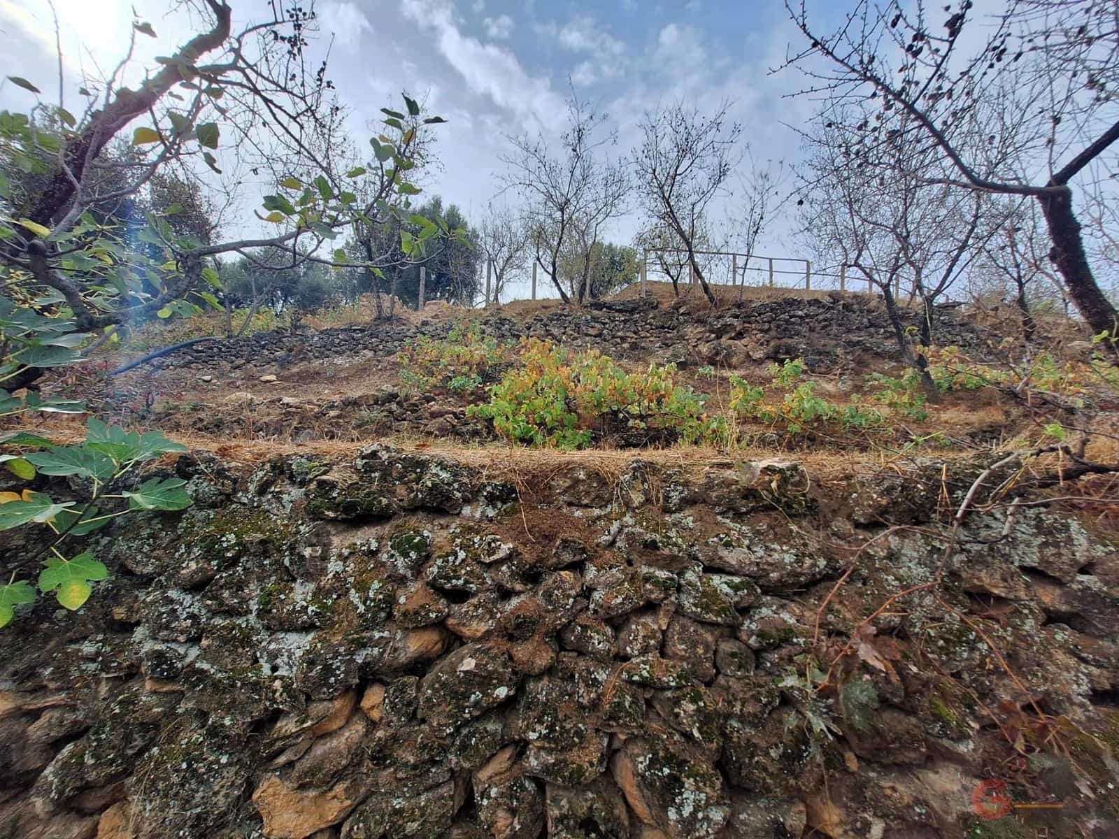 Finca/Landehus til salg i Lanjaron - € 90.000 (Ref: 8594415)