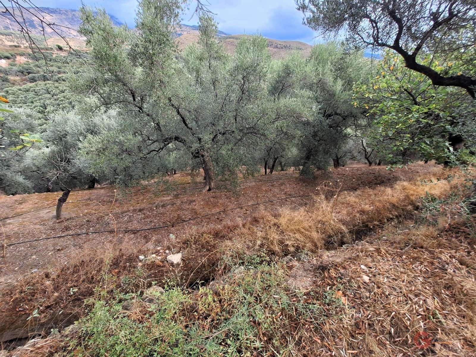 Finca/Landehus til salg i Lanjaron - € 90.000 (Ref: 8594415)