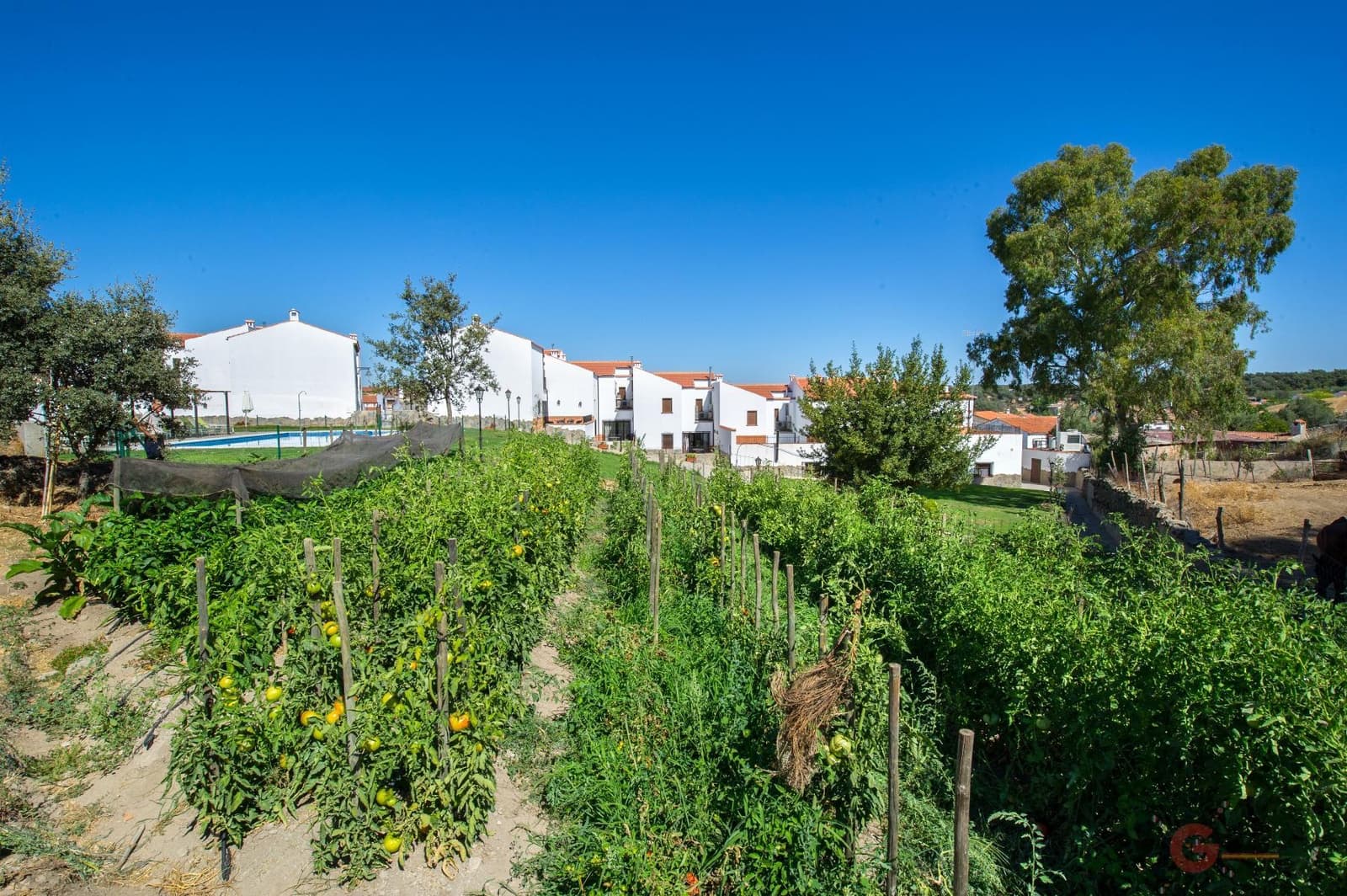 35 soveværelse Hotel til salg i Cordoba by med swimmingpool - € 1.370.000 (Ref: 8612307)