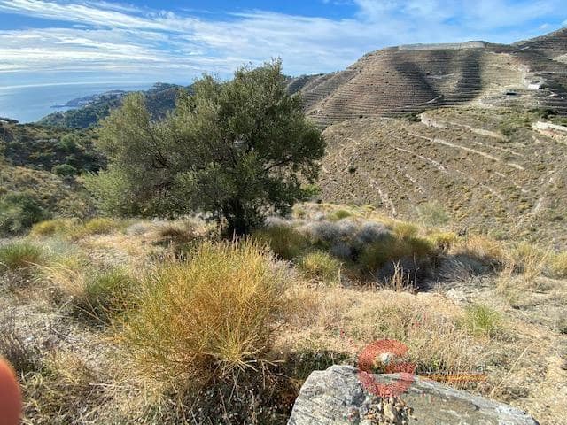 Tomt till salu i Cotobro, Almuñécar - 43 000 € (Ref: 8907148)