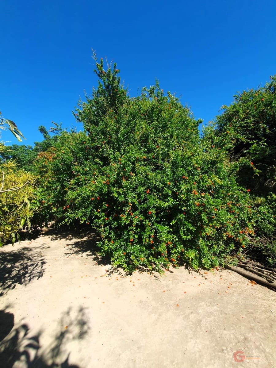 2 soveværelse Finca/Landehus til salg i Velez de Benaudalla - € 153.000 (Ref: 9008392)