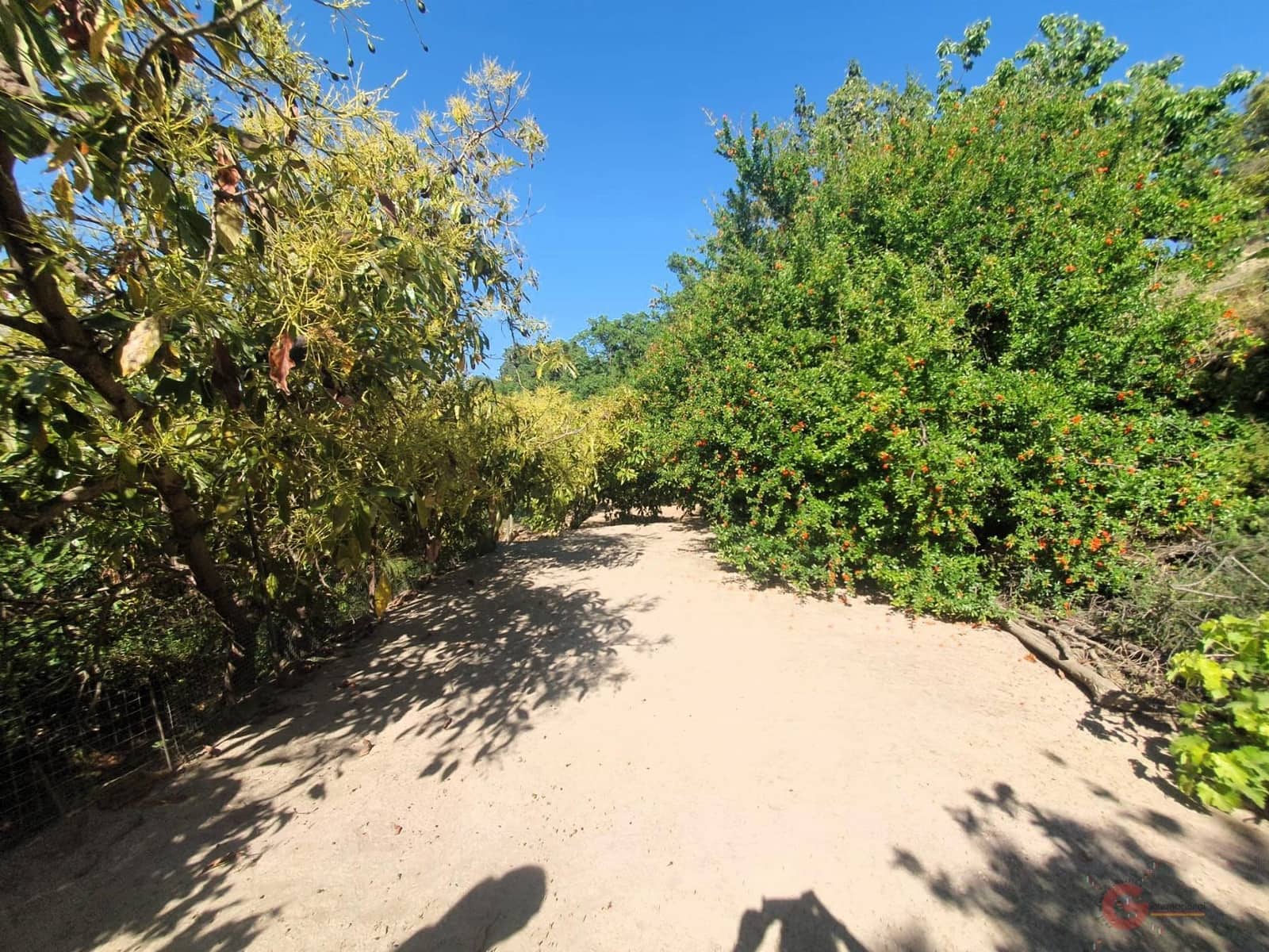 2 soveværelse Finca/Landehus til salg i Velez de Benaudalla - € 153.000 (Ref: 9008392)