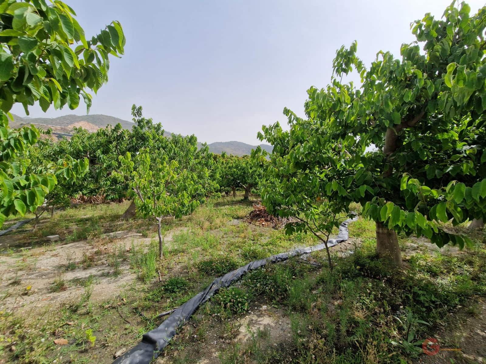 4 soveværelse Finca/Landehus til salg i Lobres med garage - € 420.000 (Ref: 9064726)