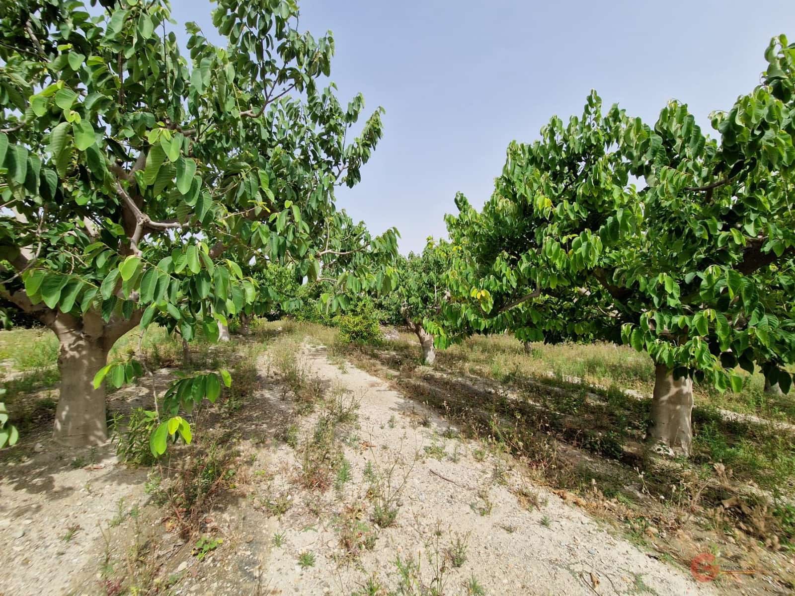 4 soveværelse Finca/Landehus til salg i Lobres med garage - € 420.000 (Ref: 9064726)