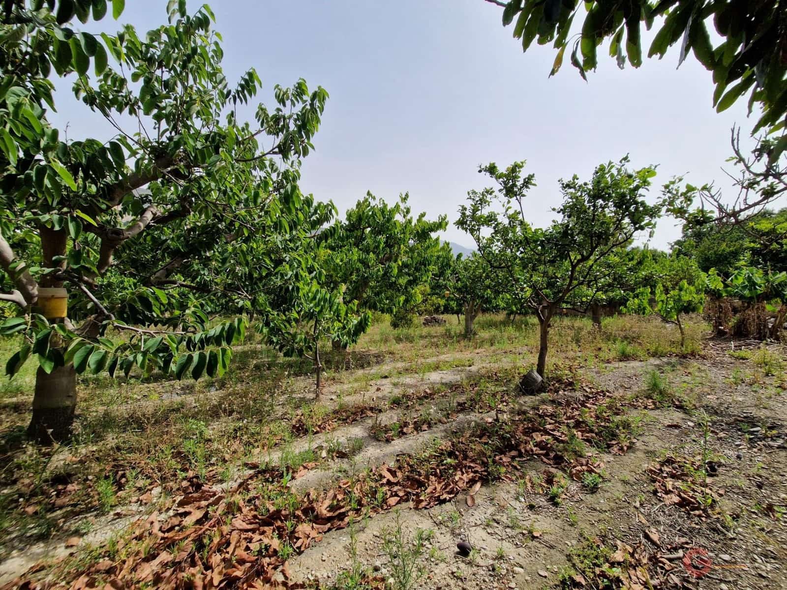 4 soveværelse Finca/Landehus til salg i Lobres med garage - € 420.000 (Ref: 9064726)