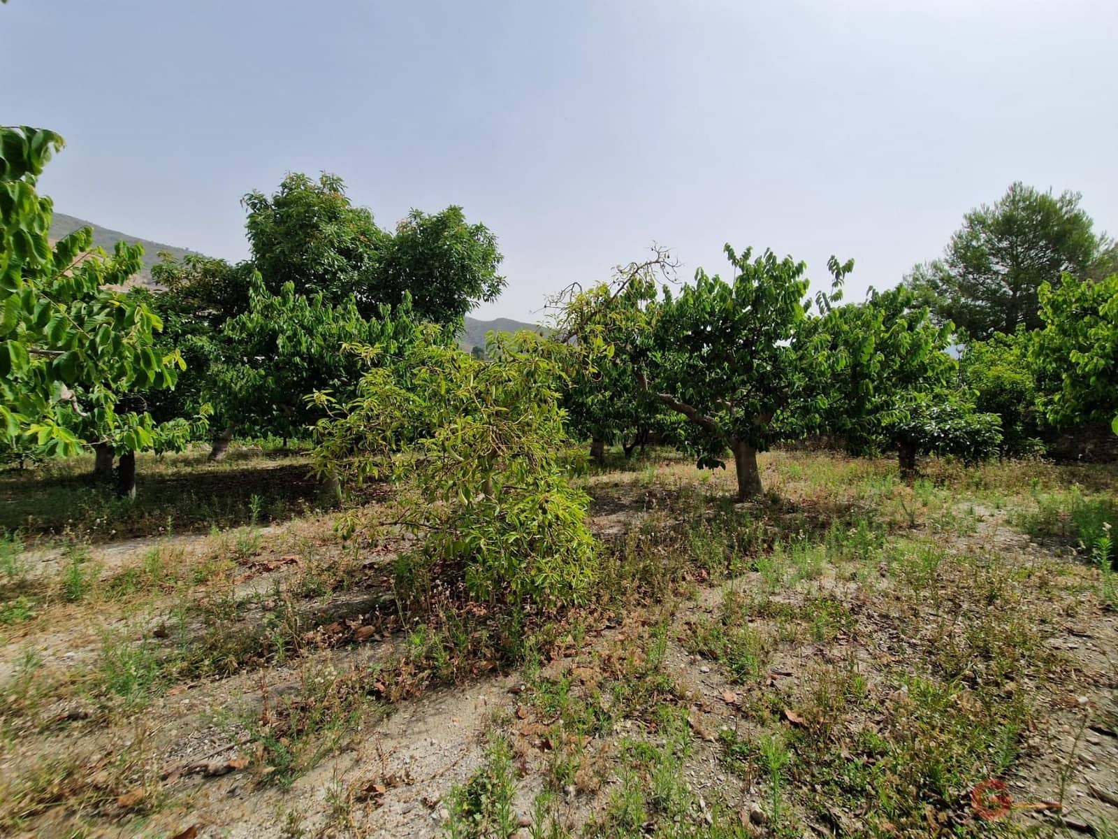 4 soveværelse Finca/Landehus til salg i Lobres med garage - € 420.000 (Ref: 9064726)