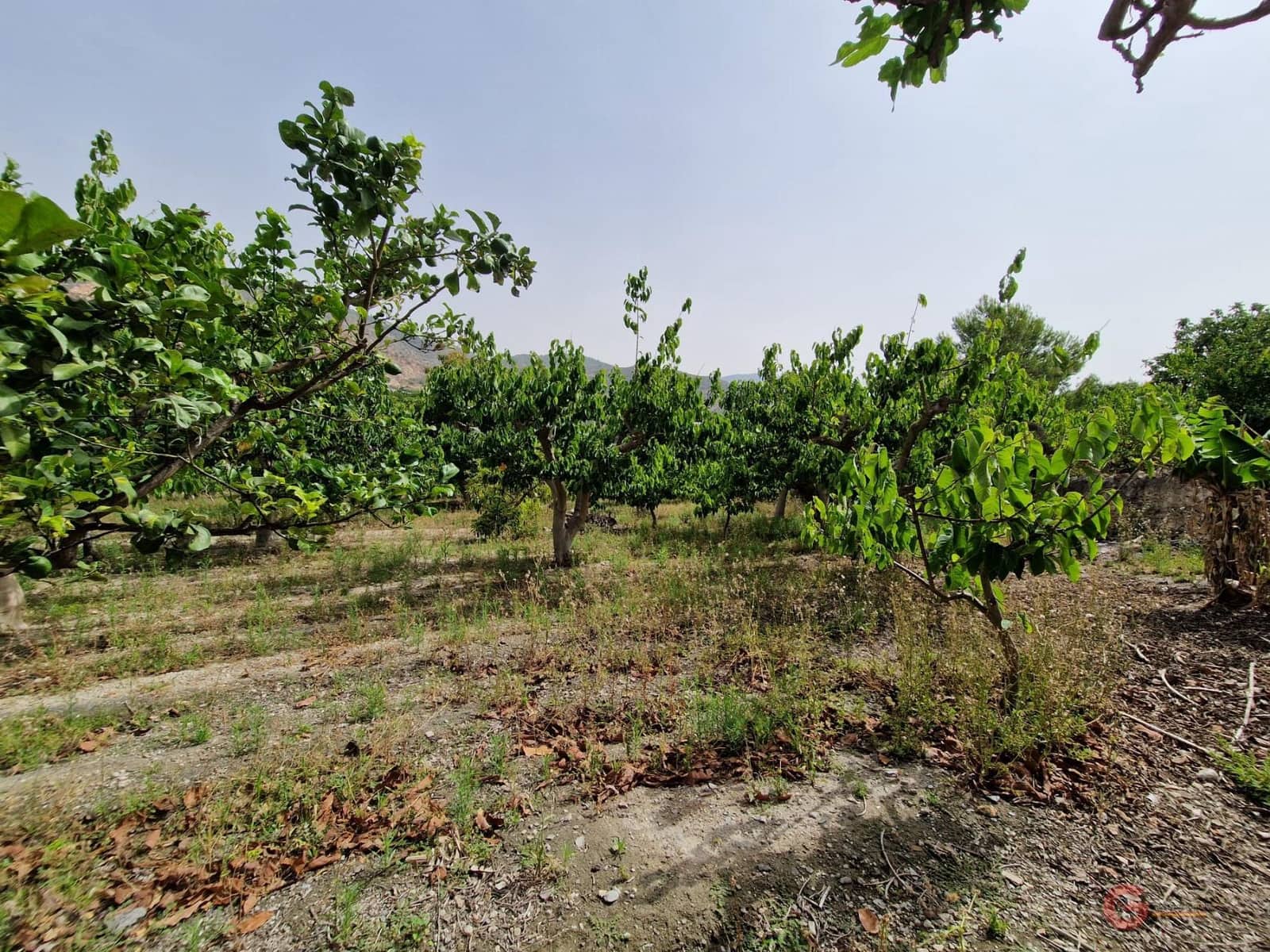 4 soveværelse Finca/Landehus til salg i Lobres med garage - € 420.000 (Ref: 9064726)