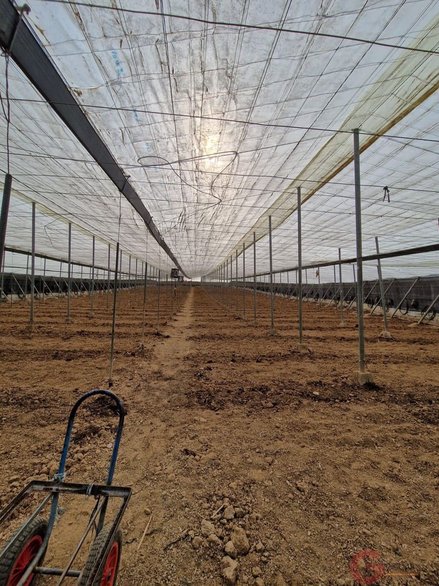 3 soverom Finca/Herregård til salgs i Molvizar - € 185 600 (Ref: 9207835)