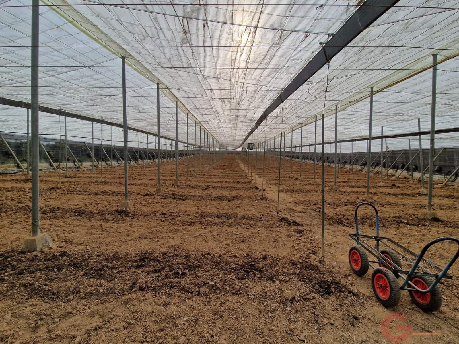 3 soverom Finca/Herregård til salgs i Molvizar - € 185 600 (Ref: 9207835)