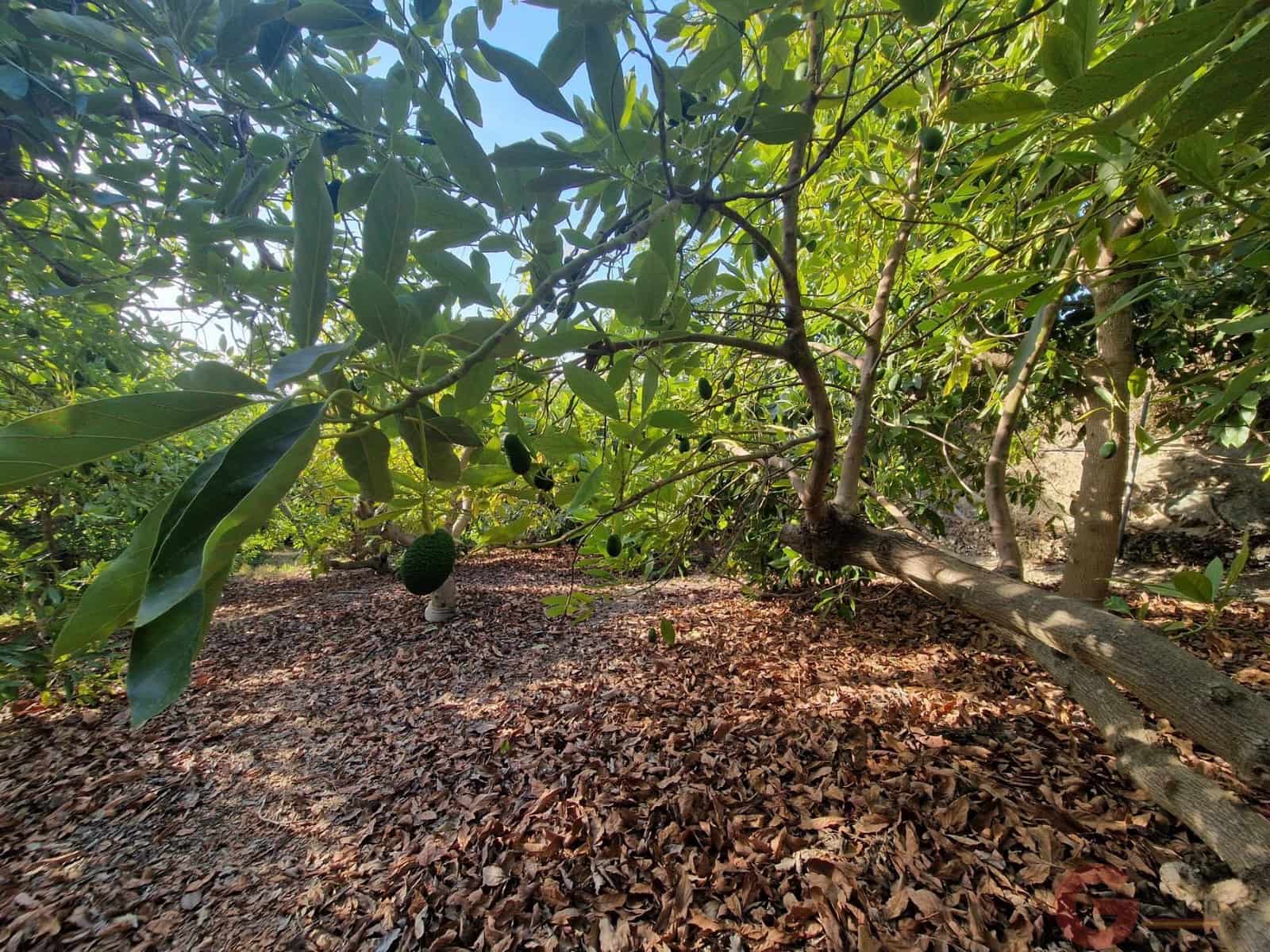 2 camera da letto Finca/Casa di Campagna in vendita in Salobrena - 91.000 € (Rif: 9281113)