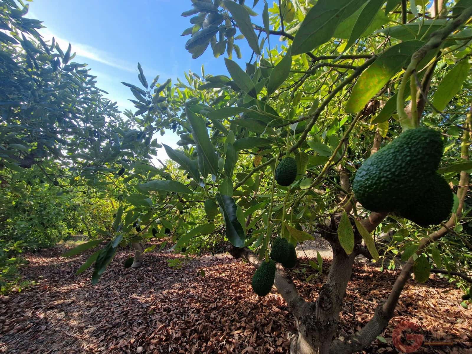 2 camera da letto Finca/Casa di Campagna in vendita in Salobrena - 91.000 € (Rif: 9281113)