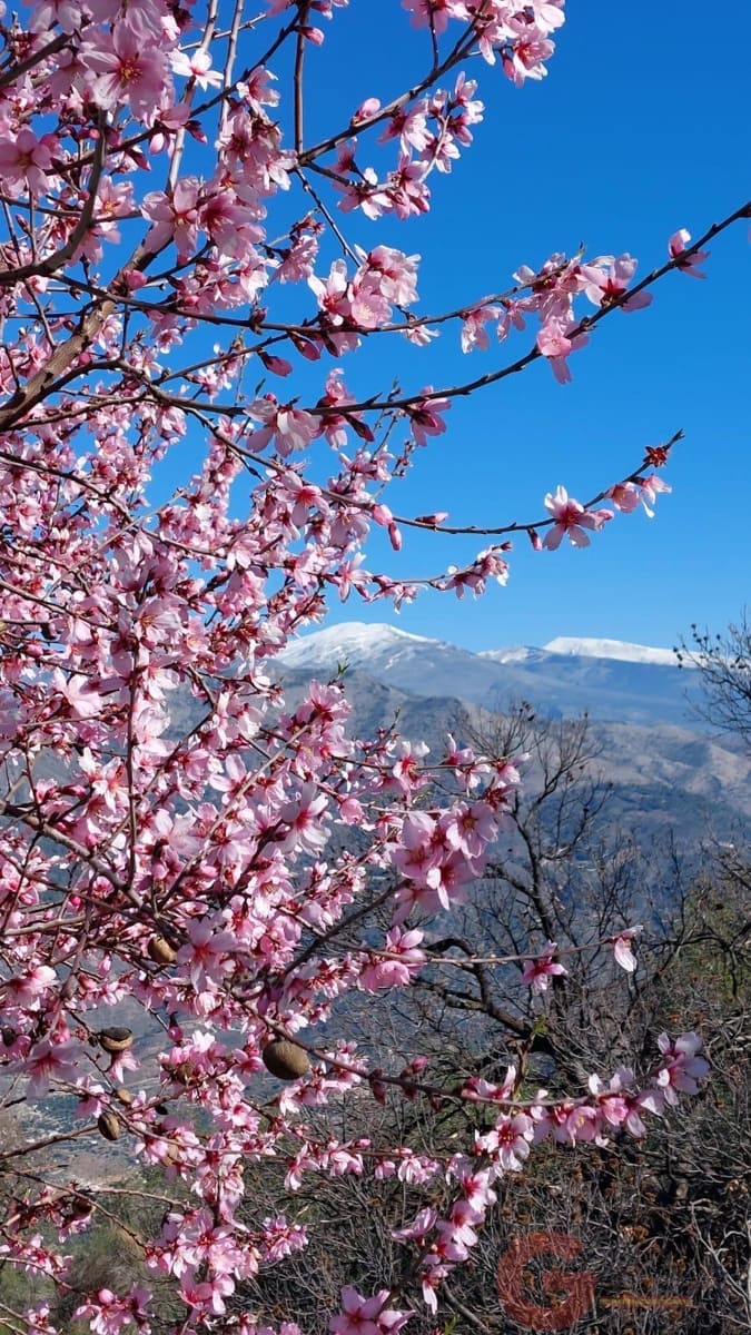 3 soveværelse Finca/Landehus til salg i Guajar Fondon - € 85.000 (Ref: 9287357)