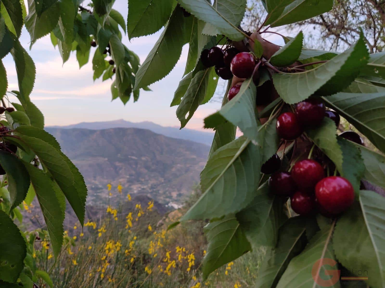 3 soveværelse Finca/Landehus til salg i Guajar Fondon - € 85.000 (Ref: 9287357)